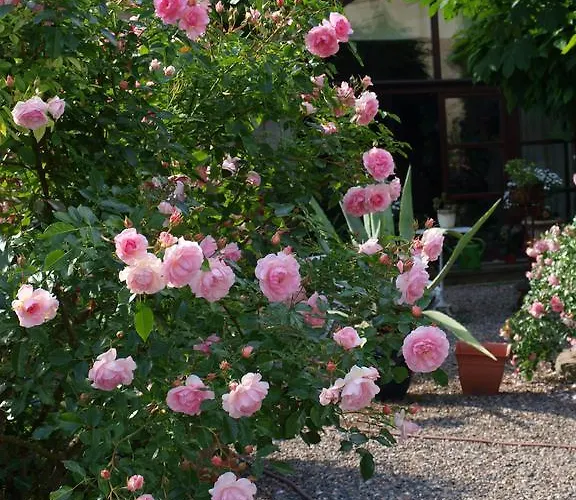 Zur Koeniglichen Ausspanne 3* Dresden