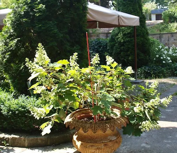 Zur Koeniglichen Ausspanne 3*