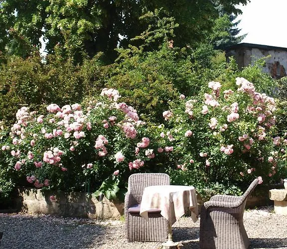 Bed & Breakfast Zur Koeniglichen Ausspanne Dresden