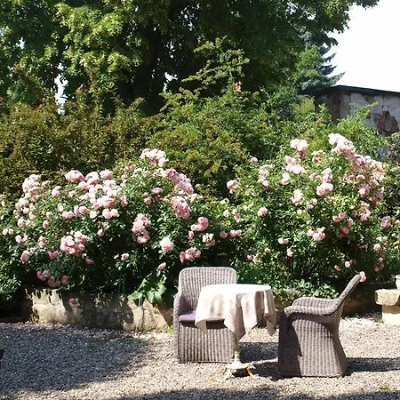 Bed and Breakfast Zur Koeniglichen Ausspanne Δρέσδη