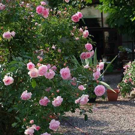 Zur Koeniglichen Ausspanne 3* Δρέσδη